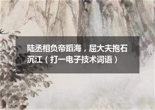 陆丞相负帝蹈海，屈大夫抱石沉江（打一电子技术词语）