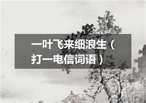 一叶飞来细浪生（打一电信词语）