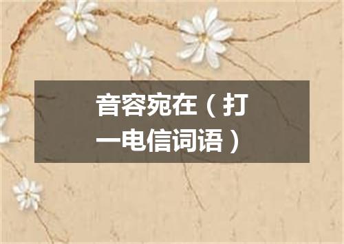 音容宛在（打一电信词语）