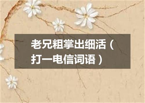 老兄粗掌出细活（打一电信词语）
