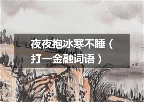 夜夜抱冰寒不睡（打一金融词语）