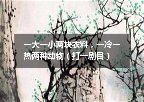 一大一小两块衣料，一冷一热两种动物（打一剧目）