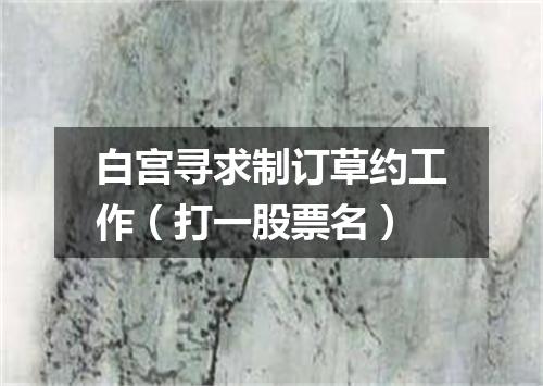 白宫寻求制订草约工作（打一股票名）