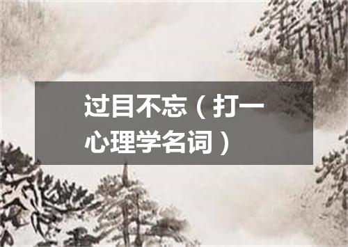 过目不忘（打一心理学名词）