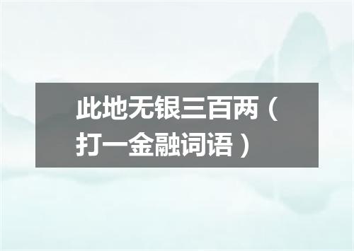 此地无银三百两（打一金融词语）