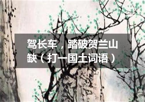 驾长车，踏破贺兰山缺（打一国土词语）