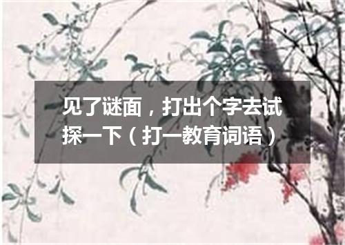 见了谜面，打出个字去试探一下（打一教育词语）