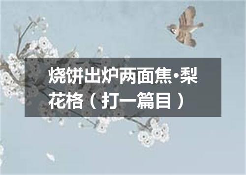 烧饼出炉两面焦·梨花格（打一篇目）