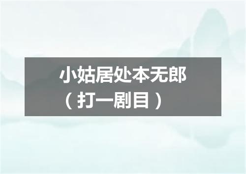 小姑居处本无郎（打一剧目）