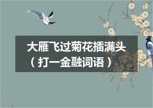 大雁飞过菊花插满头（打一金融词语）