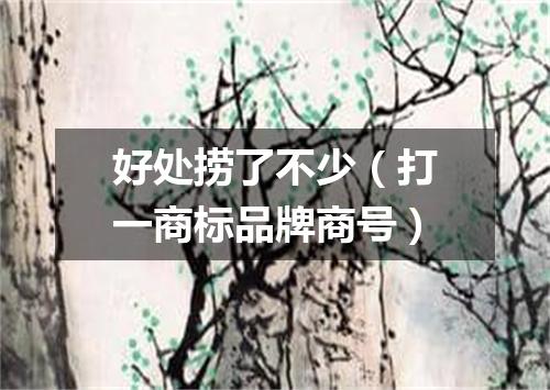 好处捞了不少（打一商标品牌商号）