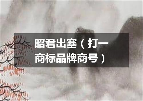 昭君出塞（打一商标品牌商号）