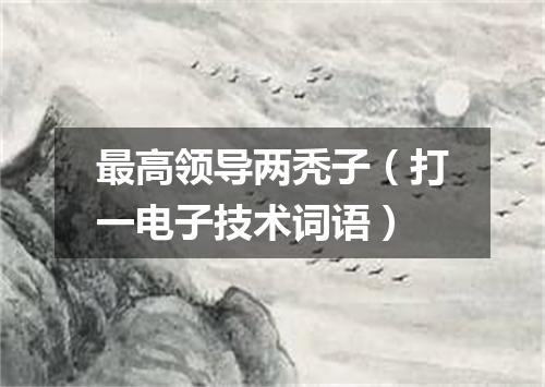 最高领导两秃子（打一电子技术词语）