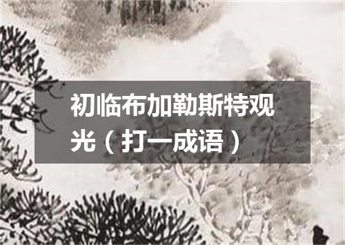 初临布加勒斯特观光（打一成语）