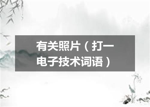 有关照片（打一电子技术词语）