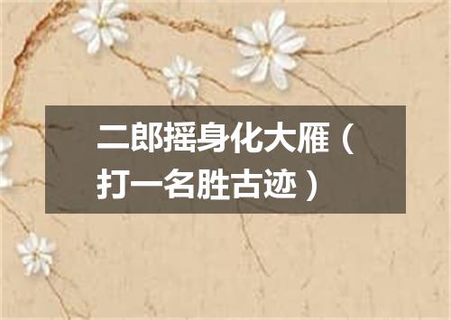 二郎摇身化大雁（打一名胜古迹）