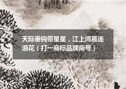 天际垂钩带星星，江上鸿雁连浪花（打一商标品牌商号）
