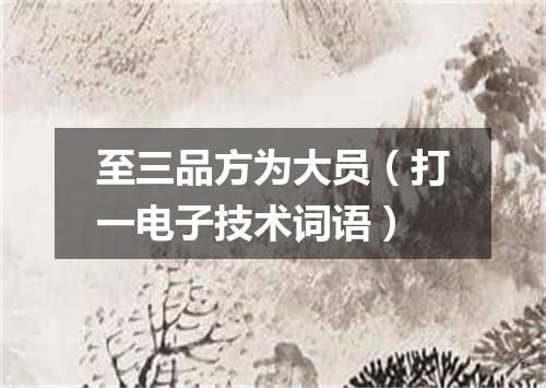 至三品方为大员（打一电子技术词语）