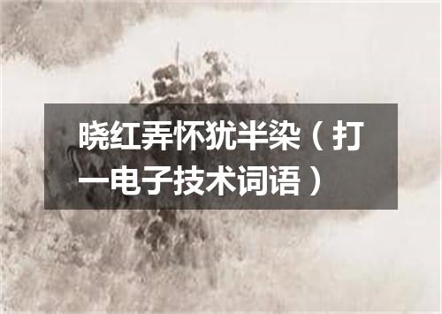 晓红弄怀犹半染（打一电子技术词语）