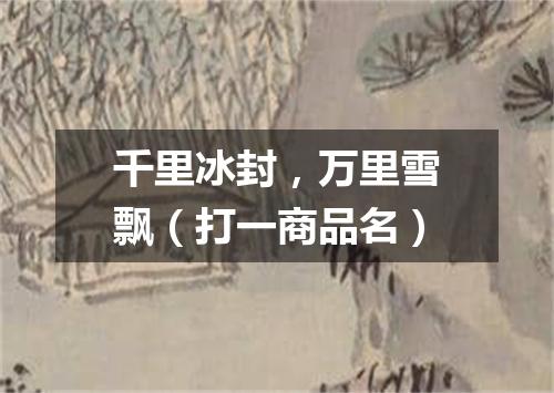 千里冰封，万里雪飘（打一商品名）