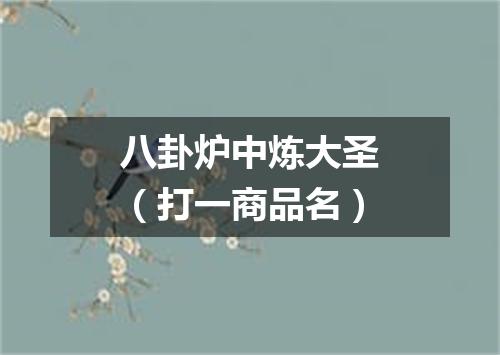 八卦炉中炼大圣（打一商品名）