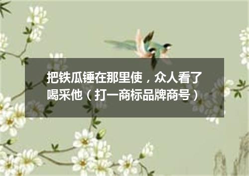 把铁瓜锤在那里使，众人看了喝采他（打一商标品牌商号）