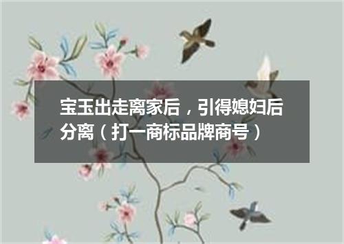 宝玉出走离家后，引得媳妇后分离（打一商标品牌商号）