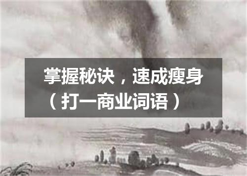 掌握秘诀，速成瘦身（打一商业词语）