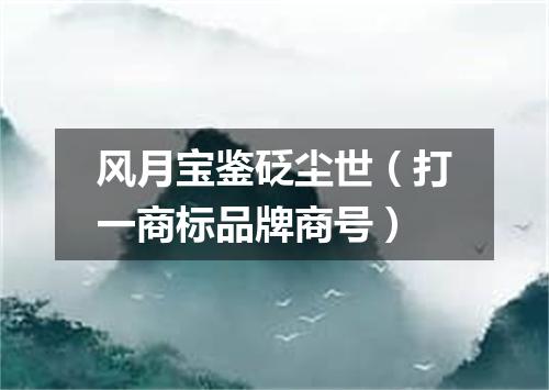 风月宝鉴砭尘世（打一商标品牌商号）