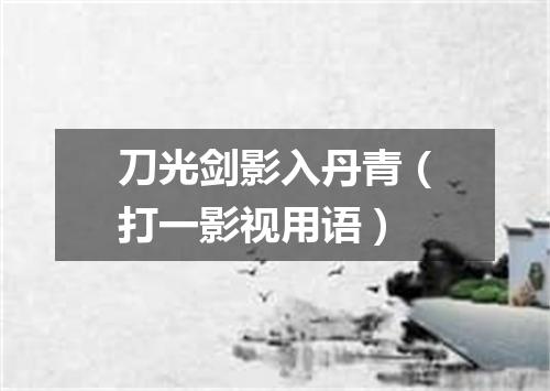 刀光剑影入丹青（打一影视用语）