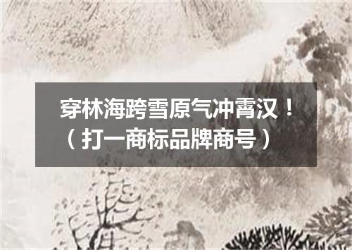 穿林海跨雪原气冲霄汉！（打一商标品牌商号）