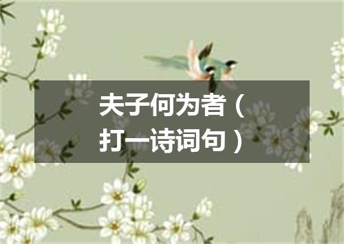 夫子何为者（打一诗词句）