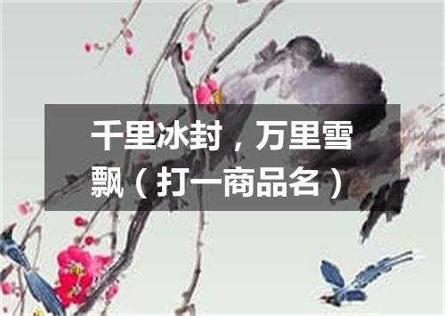 千里冰封，万里雪飘（打一商品名）