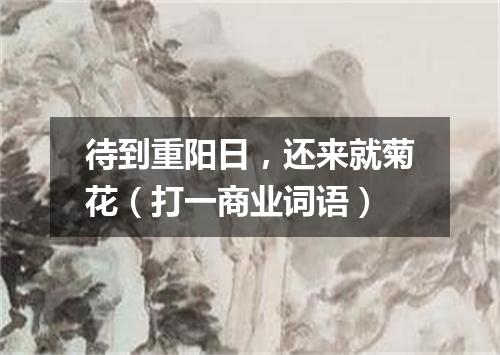 待到重阳日，还来就菊花（打一商业词语）