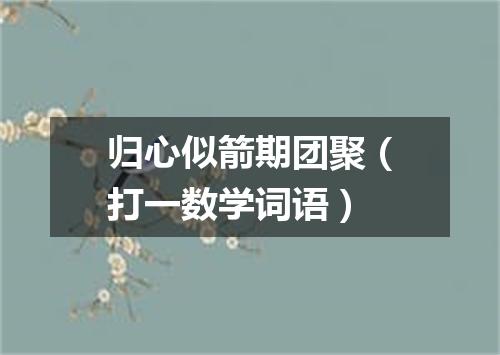 归心似箭期团聚（打一数学词语）