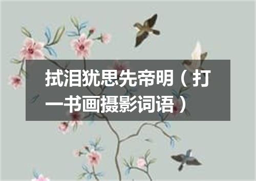 拭泪犹思先帝明（打一书画摄影词语）