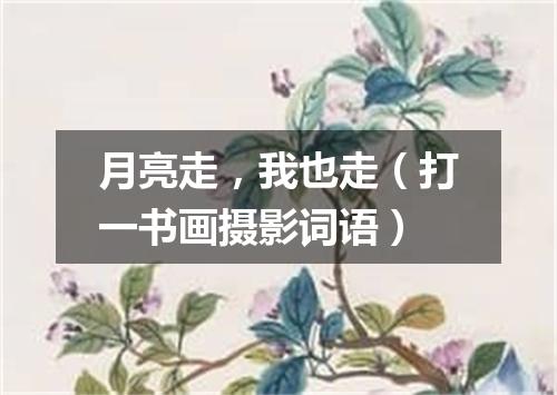 月亮走，我也走（打一书画摄影词语）