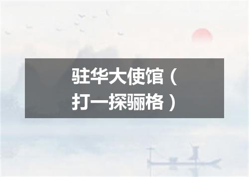 驻华大使馆（打一探骊格）