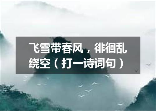 飞雪带春风，徘徊乱绕空（打一诗词句）