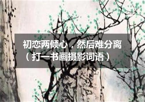 初恋两倾心，然后难分离（打一书画摄影词语）