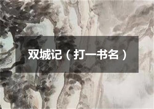 双城记（打一书名）