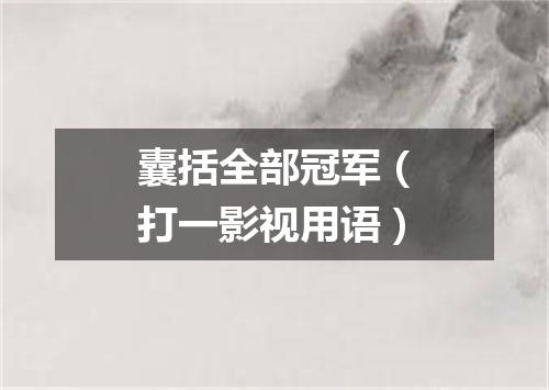 囊括全部冠军（打一影视用语）