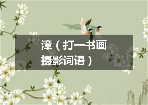 漳（打一书画摄影词语）