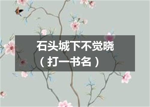 石头城下不觉晓（打一书名）