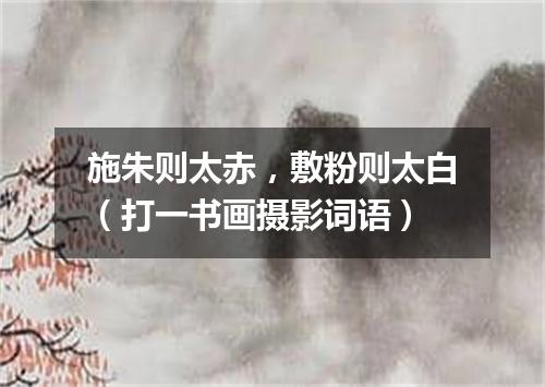 施朱则太赤，敷粉则太白（打一书画摄影词语）