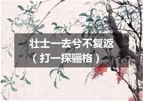 壮士一去兮不复返（打一探骊格）