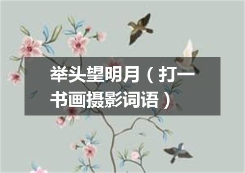 举头望明月（打一书画摄影词语）