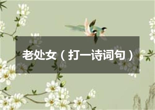 老处女（打一诗词句）