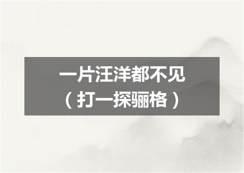 一片汪洋都不见（打一探骊格）