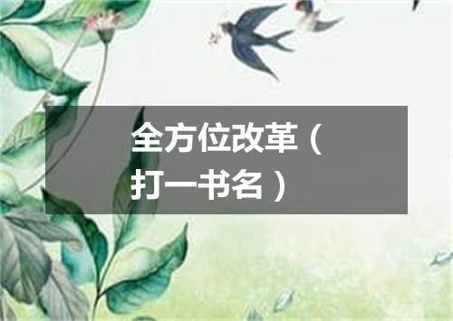 全方位改革（打一书名）